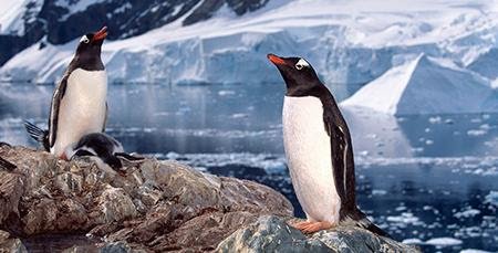 Atlas Unveils 2021/22 Antarctica Itineraries