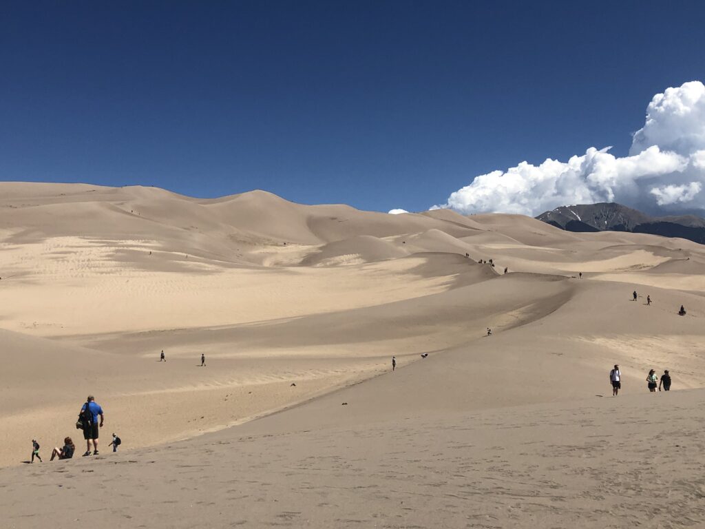 Forge your own trail on the dunes