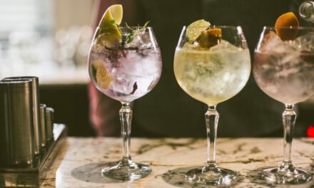 Five Northern Ireland Gins for a #StayHome Tonic