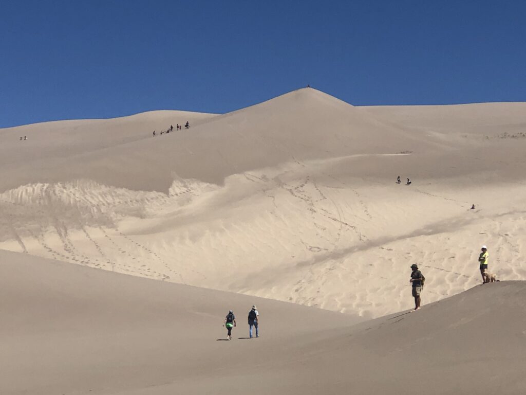 The sand is hard packed