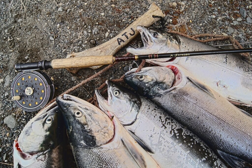 Salmon and fly fishing rod on dock