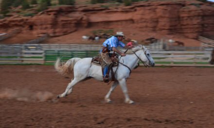 “Yellowstone” Series Sparks Demand for Dude Ranch Vacations