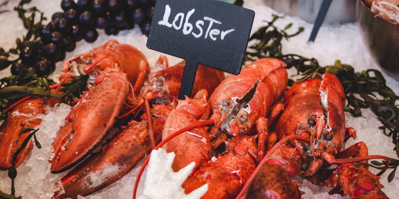Behind the Lobster, with LobsterAnywhere’s Kevin Fagan