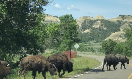 There’s Plenty Good About the Badlands!