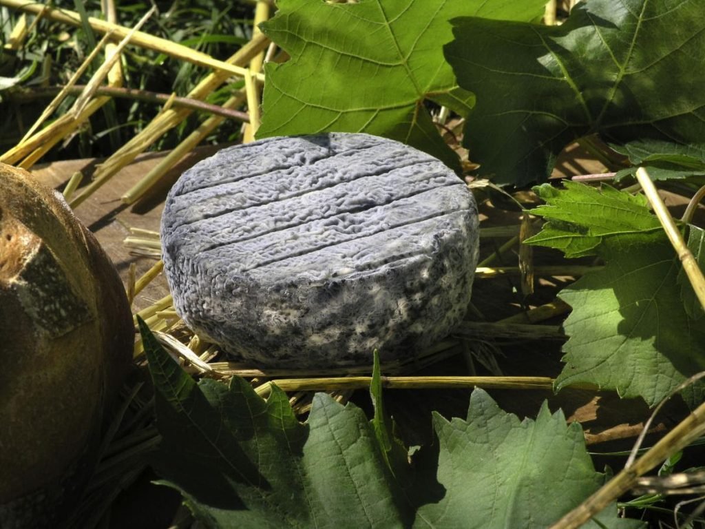 The goat cheese made in Selles-sur-Cher is often regarded as the best in France