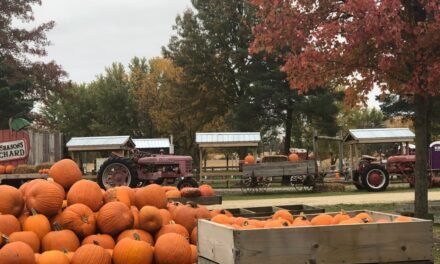 Treasure the delights of autumn in the Midwest [PHOTO ESSAY]
