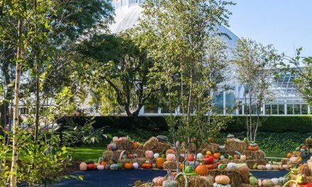 Enjoy Fall’s Spectacle at The New York Botanical Garden