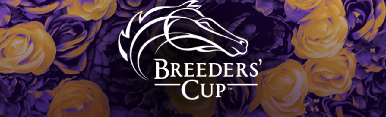 Breeders’ Cup Watching Party at Home