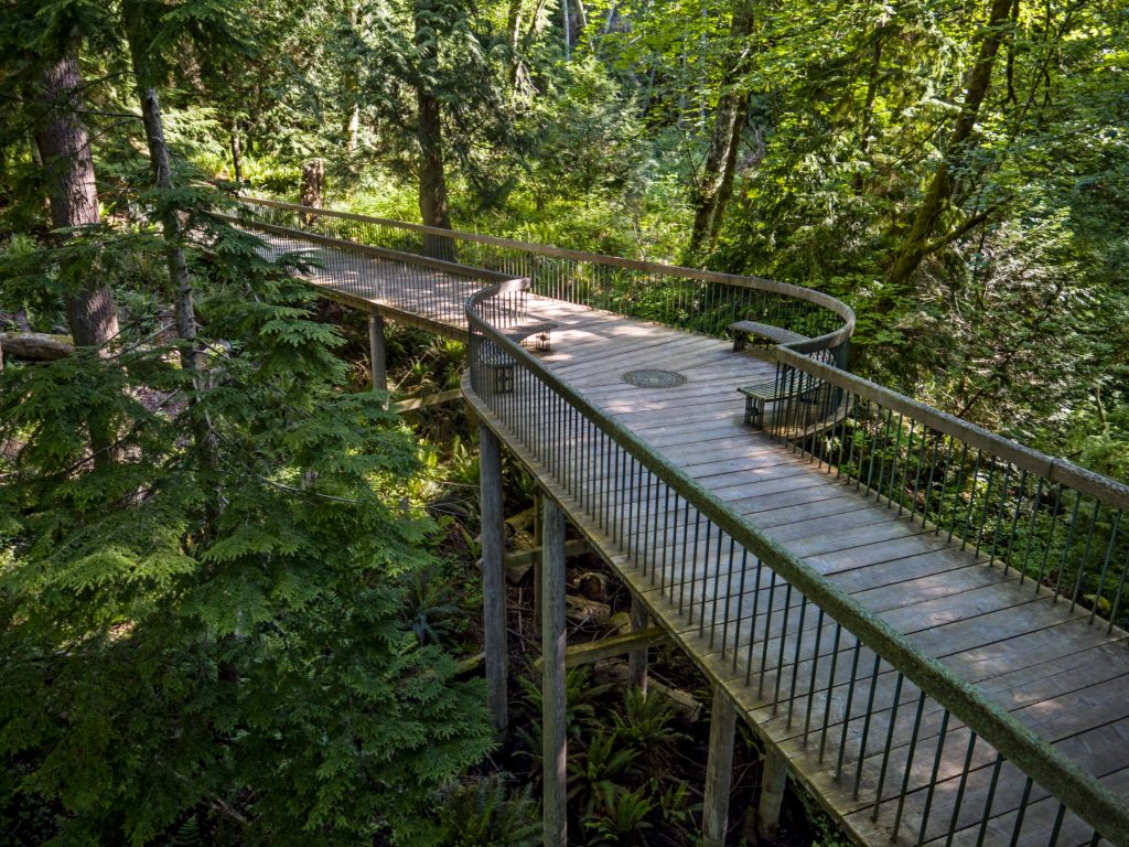 Trestle Bridge courtesy of Bloedel Reserve