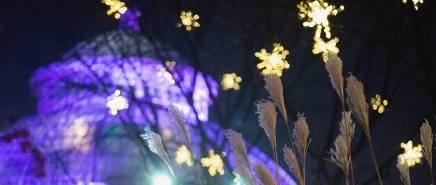 Let It Glow at The New York Botanical Garden This Holiday Season