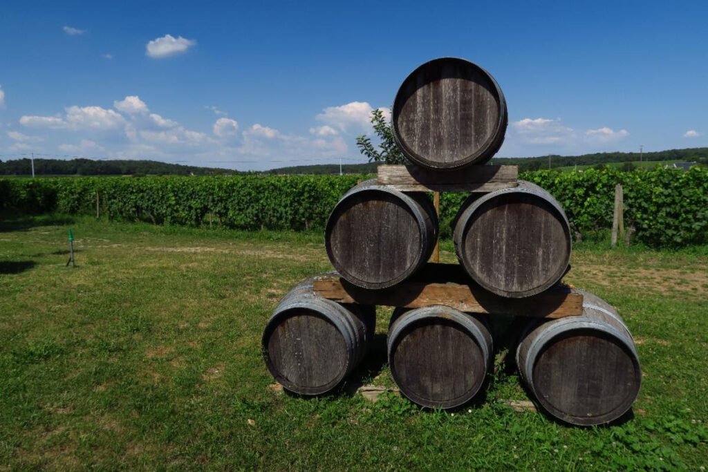 Château de Minière gives travelers the chance to learn about West Touraine's extensive wine history (Credit: V. Treney - CRT Centre-Val de Loire)