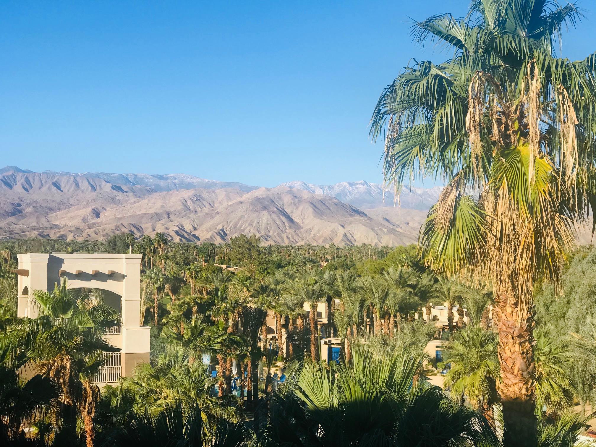 Getaway in 2021 at the Hyatt Regency Indian Wells | Luxe Beat Magazine