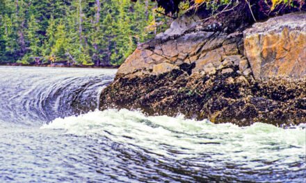 Liquid Rush!: Beneath British Columbia’s Nakwakto Rapids