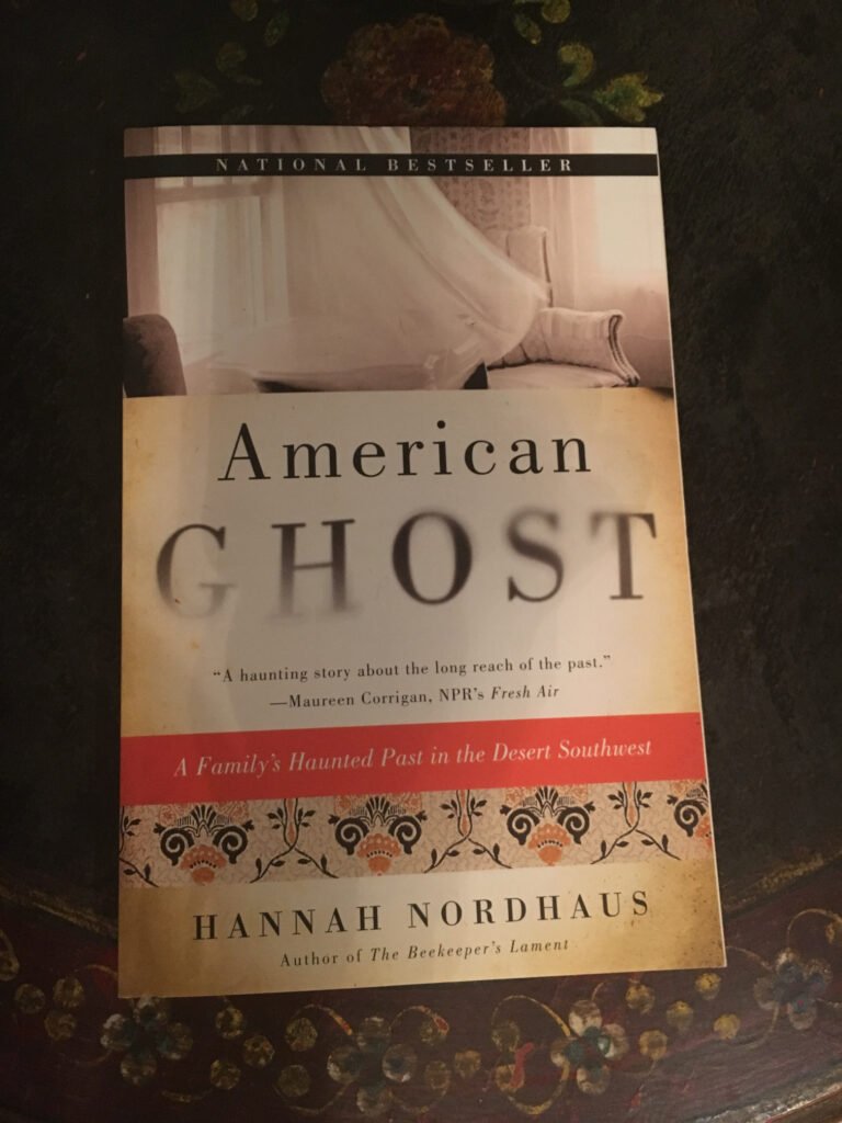 American Ghost book cover