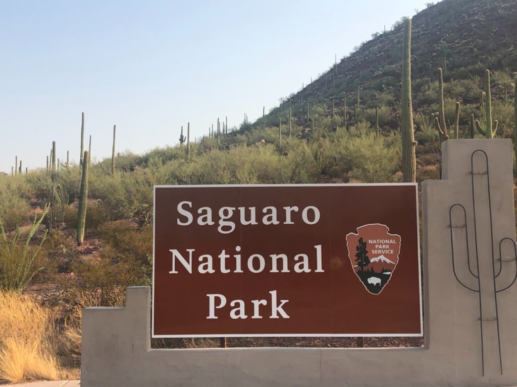 Welcome to Saguaro National Park!