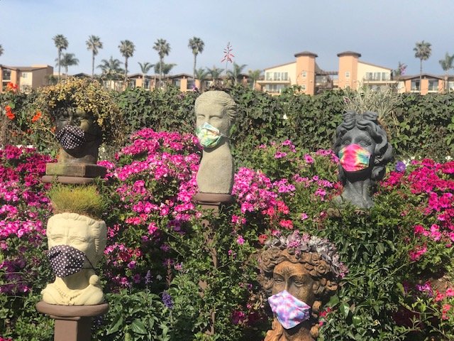 The Flower Fields are Blooming below Cassara Carlsbad