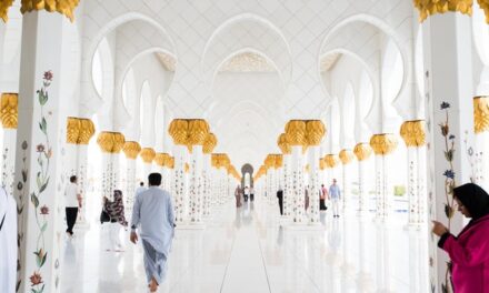 Reasons You Should Fall In Love with Abu Dhabi