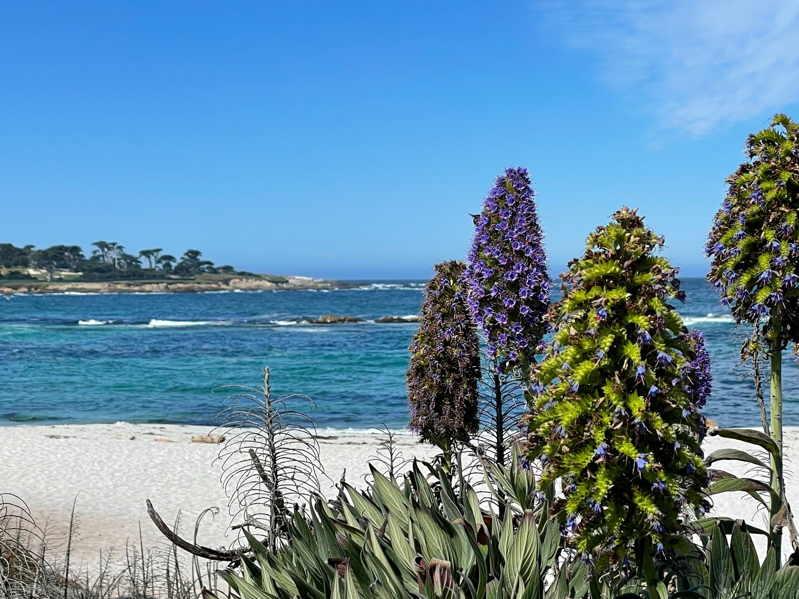 17-Mile Drive is a visual stunner