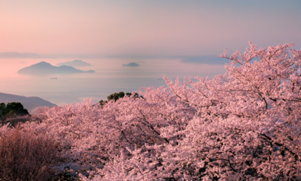 11 Ways to Enjoy Setouchi, Japan