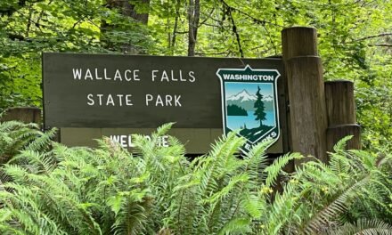 Plenty of rewards when you hike Wallace Falls