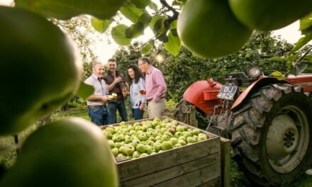 Captivate your taste buds: The heart of the Irish culinary scene