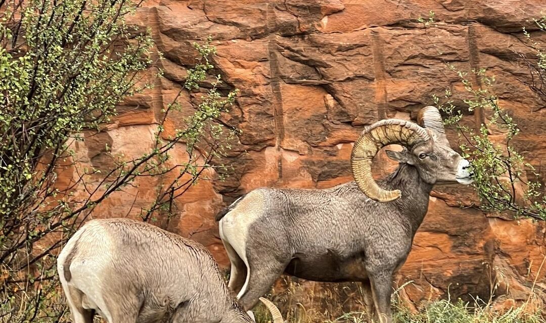 Big, bold Colorado National Monument inspires awe