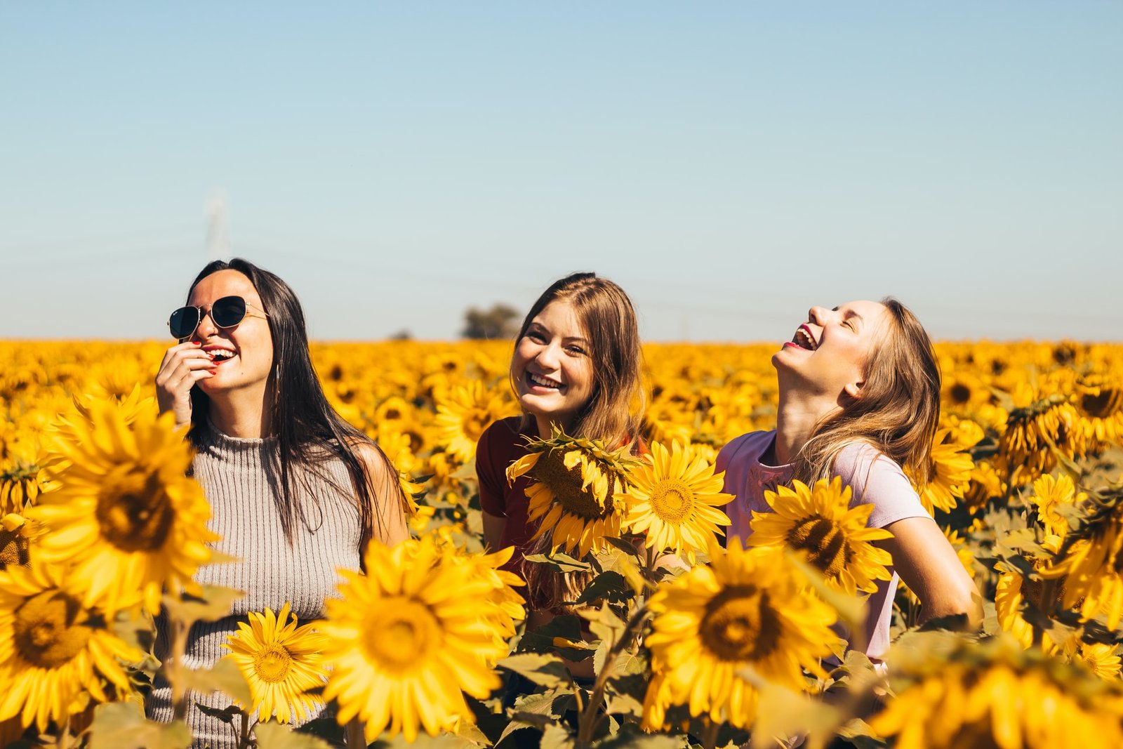 friends in sunflower field