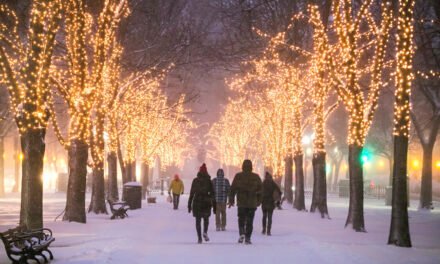 Holidays in Boston: 5 Festive Experiences Not to Miss!