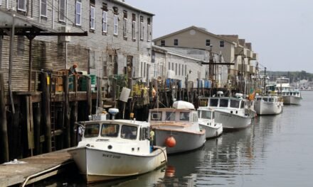 Best Boat Tours Around New England