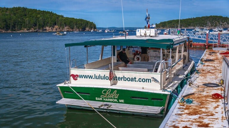 Lulu Lobster Boat