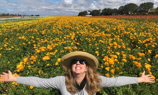 Seeing Hearts and Ranunculus in Carlsbad