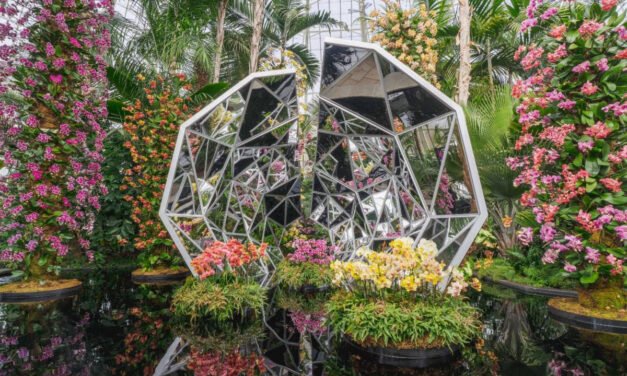 The Orchid Show Returns to The New York Botanical Garden
