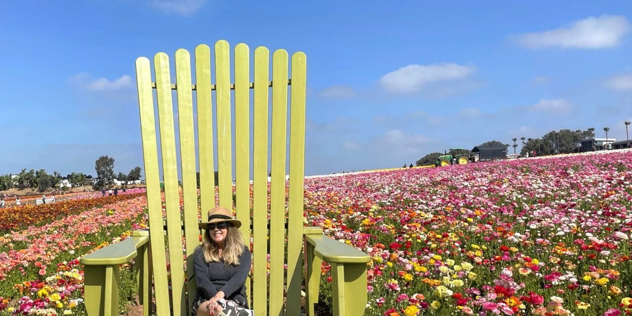 The Flower Fields at Carlsbad Are an Instagram Dream