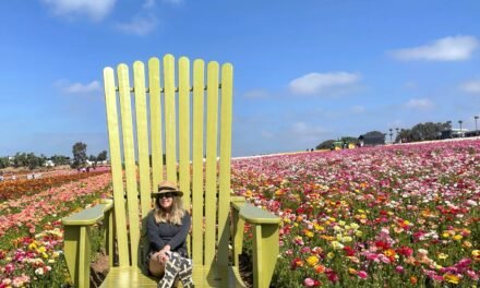 Carlsbad Superbloom at The Flower Fields