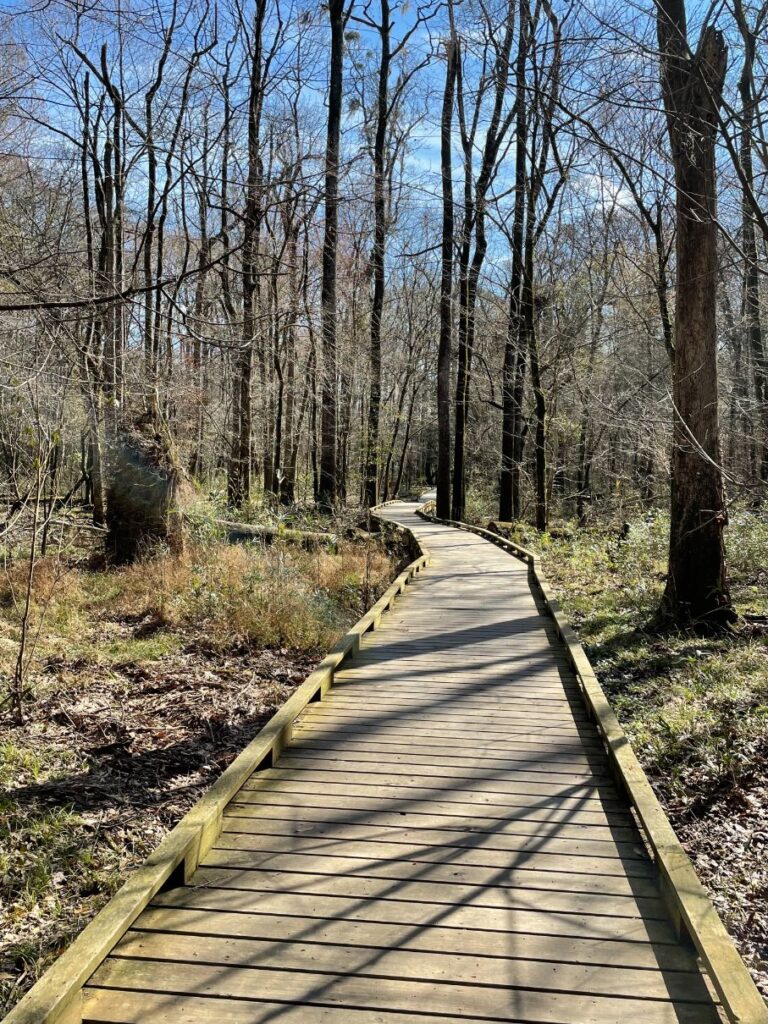 Boardwalk trail