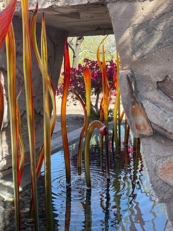 Chihuly's Fire Amber Herons at the Tower Pool
