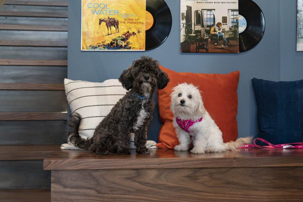 Not Your Ordinary Pet-Friendly Stay | Luxe Beat Magazine