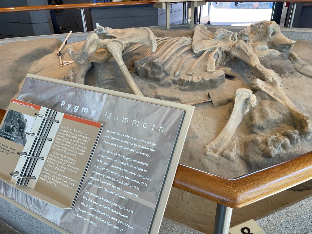 Exhibits in the Visitor Center provide information on the natural and cultural history of the park