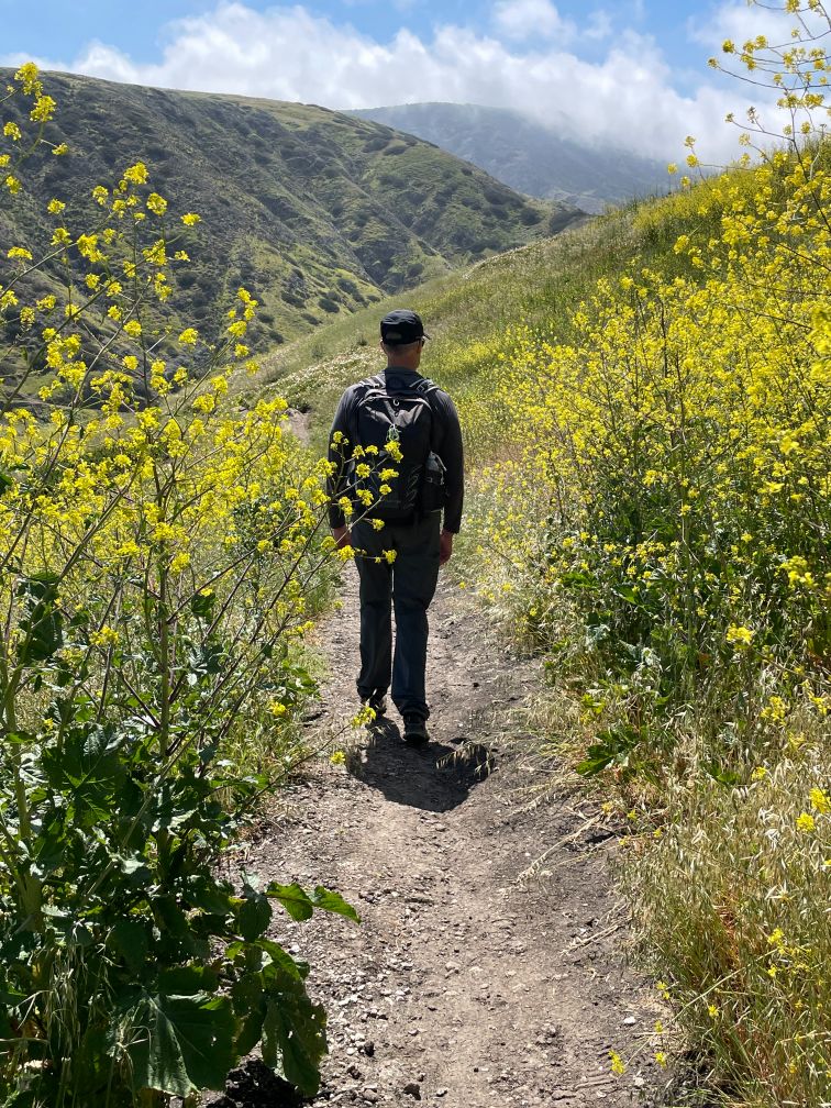 Hiking among the wildflowers