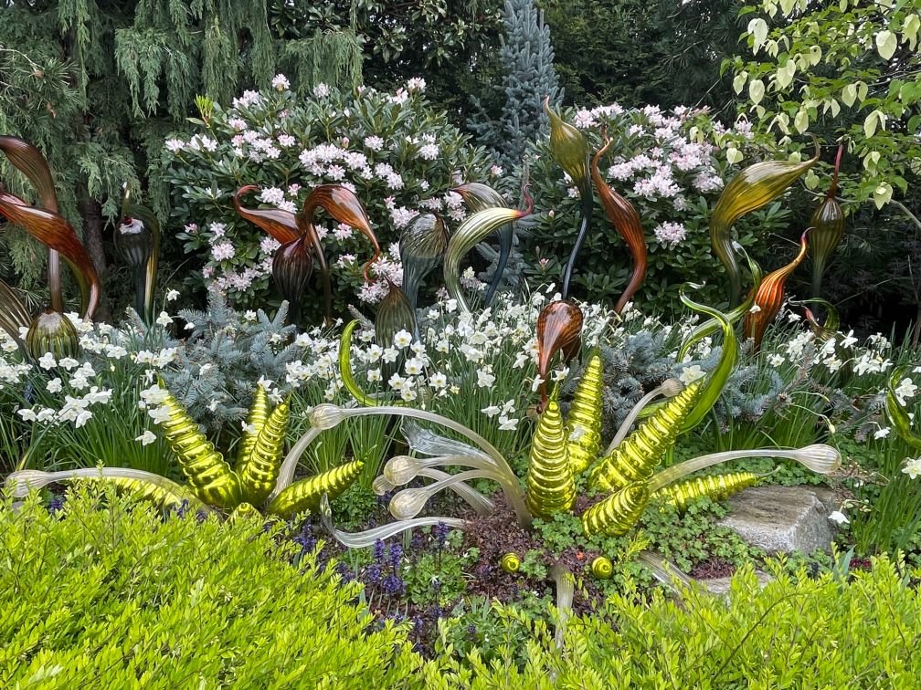 Plants contrast and complement Chihuly's work