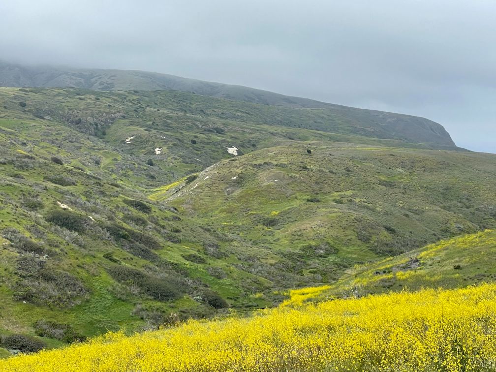 Take in the beauty of the island on a hike