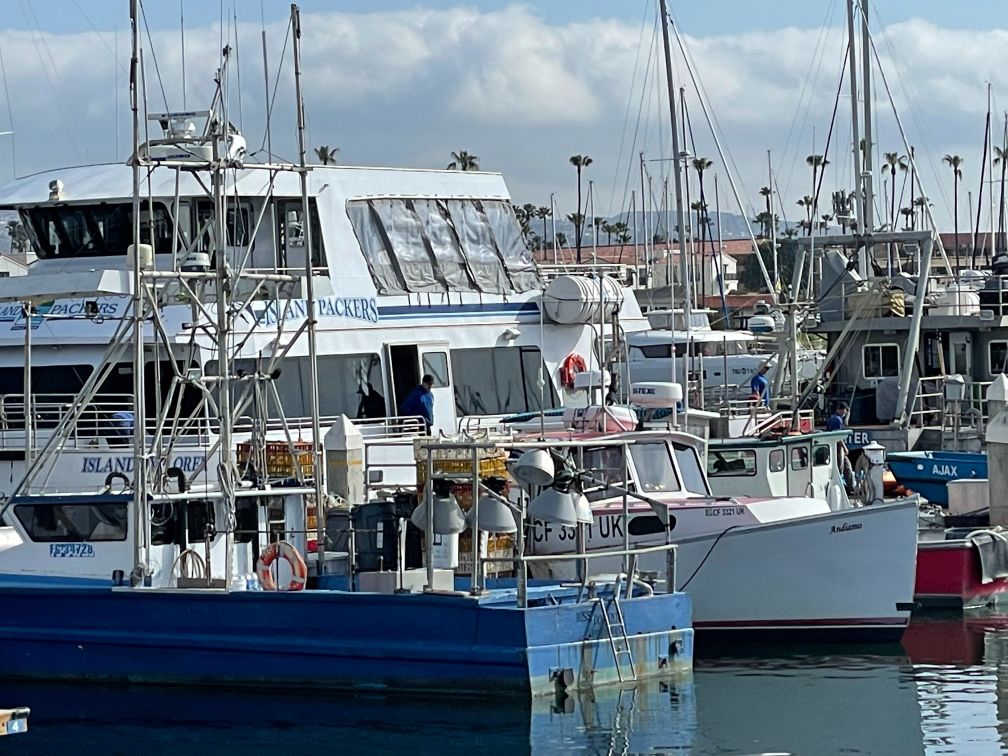 Take the Island Packers boat to Channel Islands NP