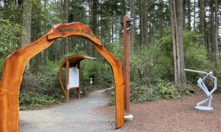 Interact with nature and art at the Price Sculpture Forest