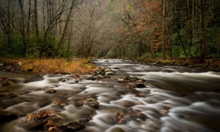 Tips for an Amazing Smoky Mountains Vacation this Fall