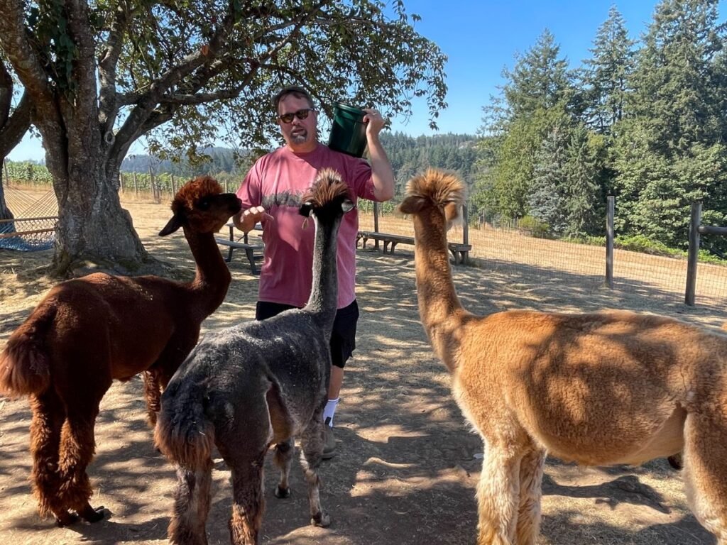 Alpacas of Oregon