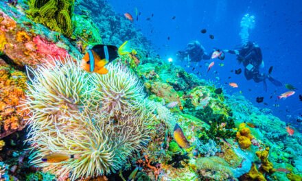 The Philippines: Tripping the Depths Fantastic with Atlantis Dive Resorts