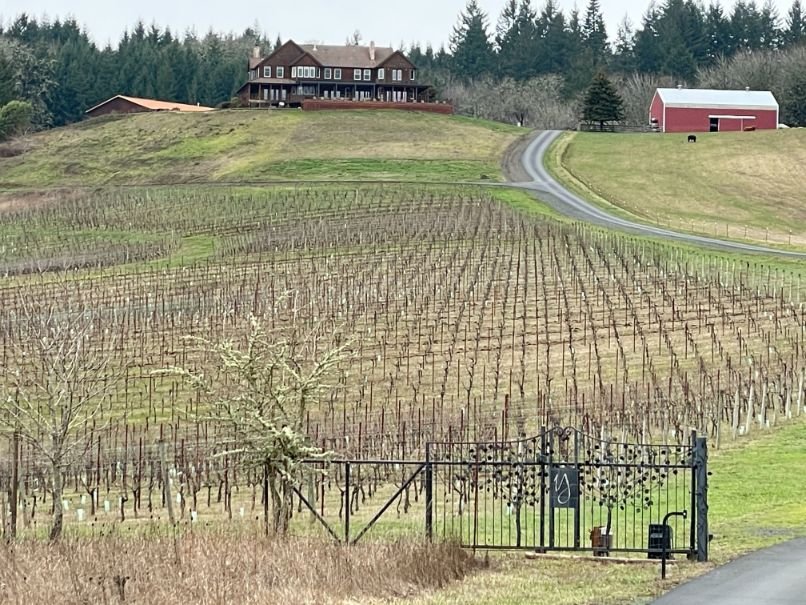 Wineries flourish in the Willamette Valley