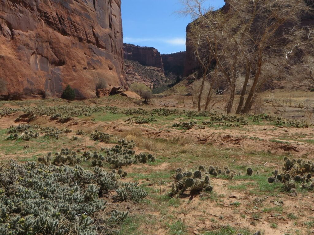 Desert varnish on the walls