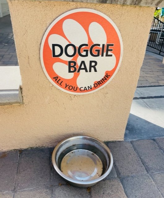 Doggie Bar