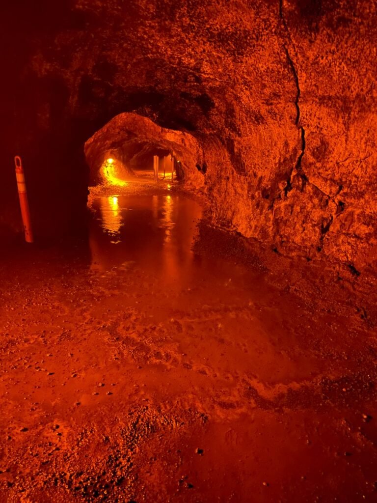 Inside Thurston Lava Tube at Hawaii Volcanoes National Park